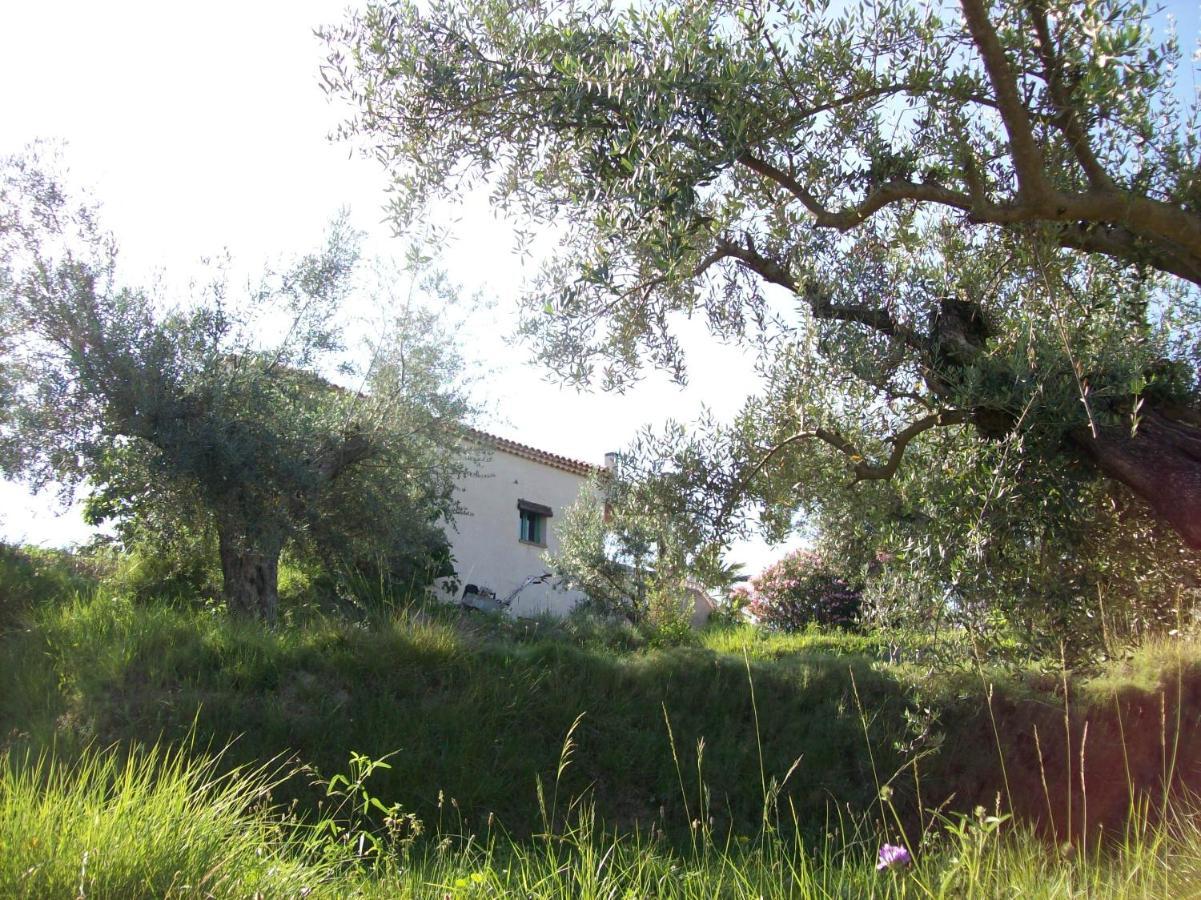 Casa Trotamundos Apartment Moratalla  Luaran gambar